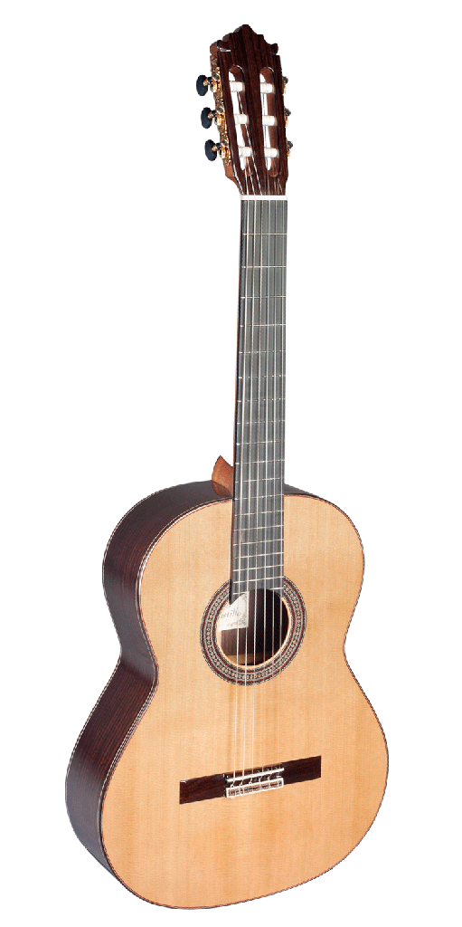 GUITARRA CLASICA PACO CASTILLO 240