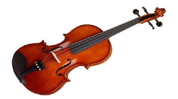 VIOLA HÖFNER 14"