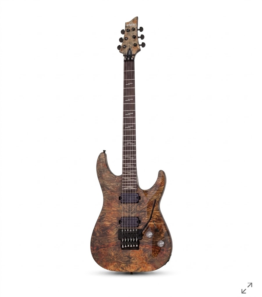 GUITARRA ELECTRICA OMEN ELITE-6 FR CC