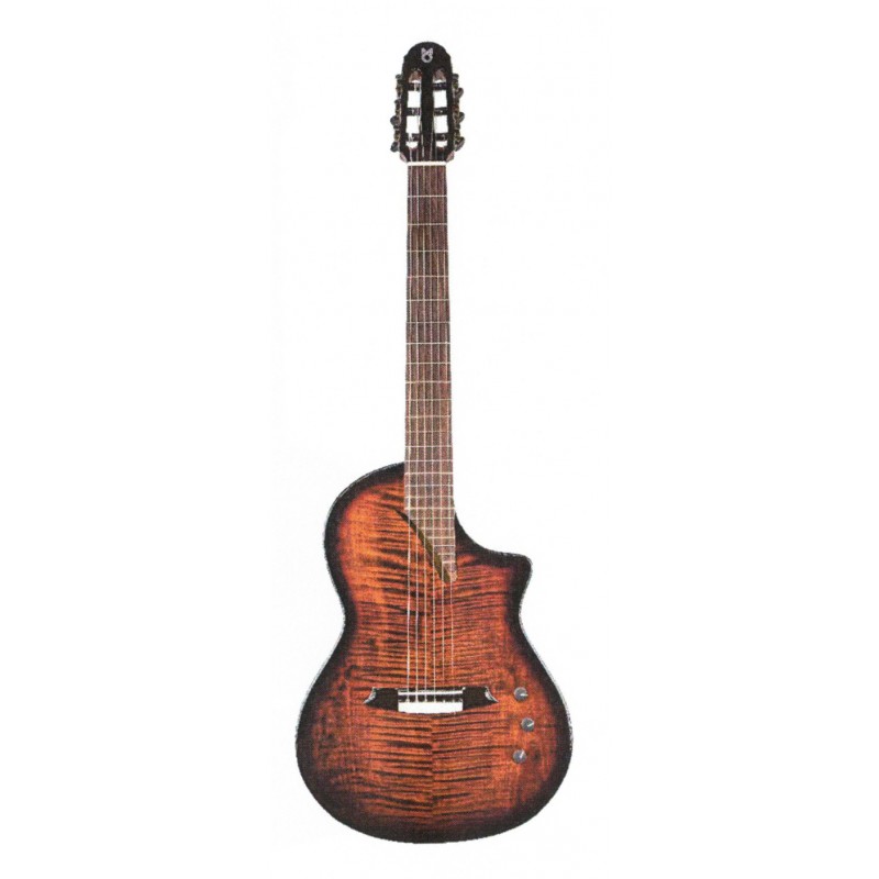 JOSE RINCON HISPANIA RED COÑAC, GUITARRA DE ESCENARIO