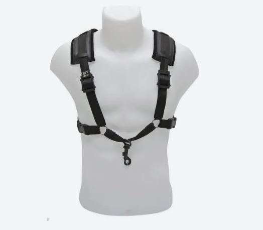 ARNES SAXO ALTO BG S40CSH