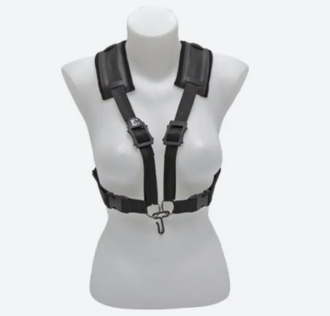 ARNES SAXO ALTO BG S41CM