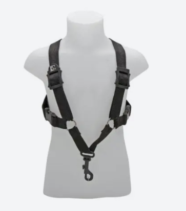 ARNES SAXO ALTO BG S42SH