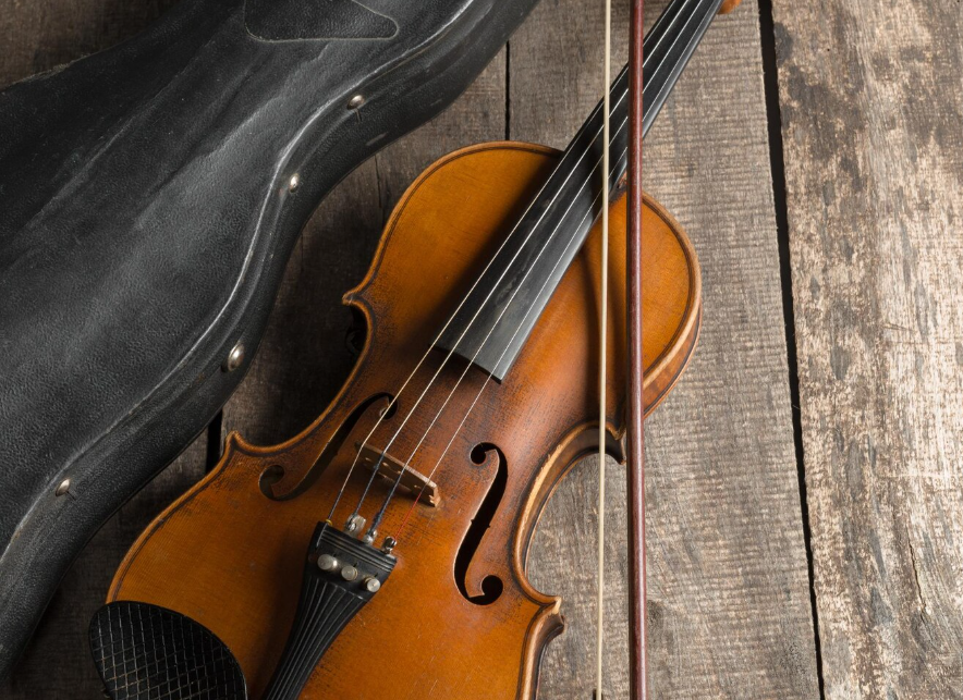 VIOLA