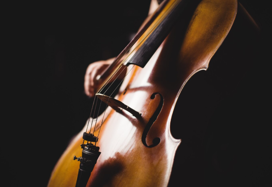 VIOLONCHELOS