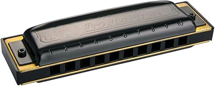 [400912663452] ARMONICA HOHNER PRO HARP F
